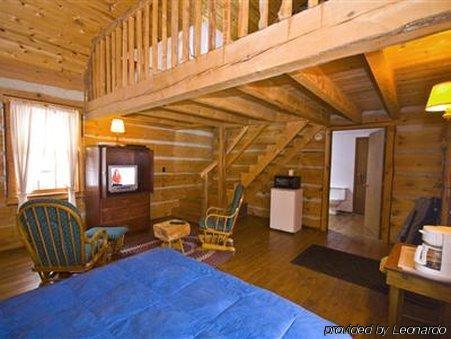 Galena Log Cabin Getaway Camera foto