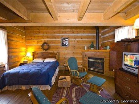 Galena Log Cabin Getaway Camera foto