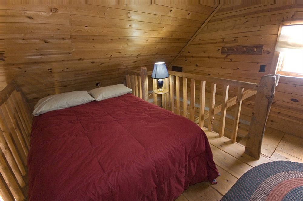 Galena Log Cabin Getaway Camera foto